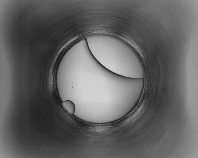 X0000099500782200805150949