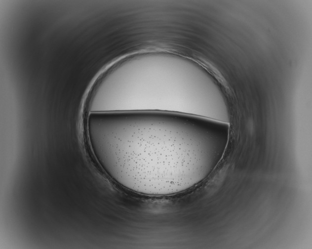 X0000099500784200805150948