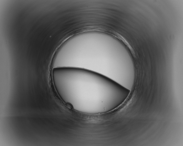 X0000099500786200805150948
