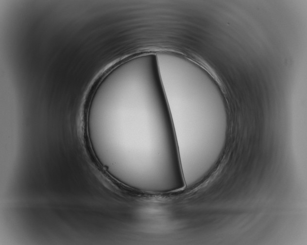 X0000099500787200805150948