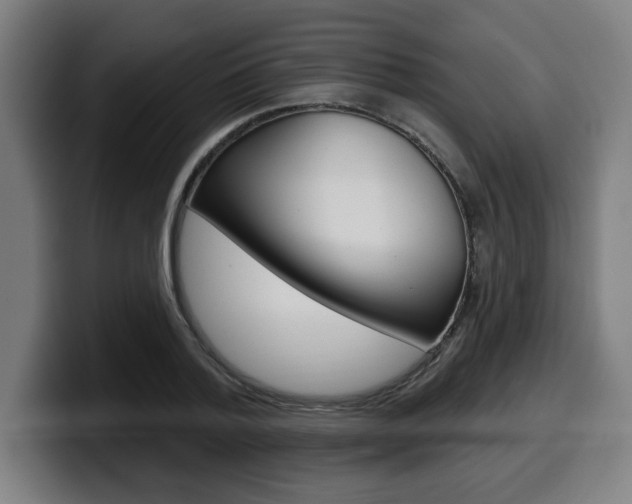 X0000099500788200805150948