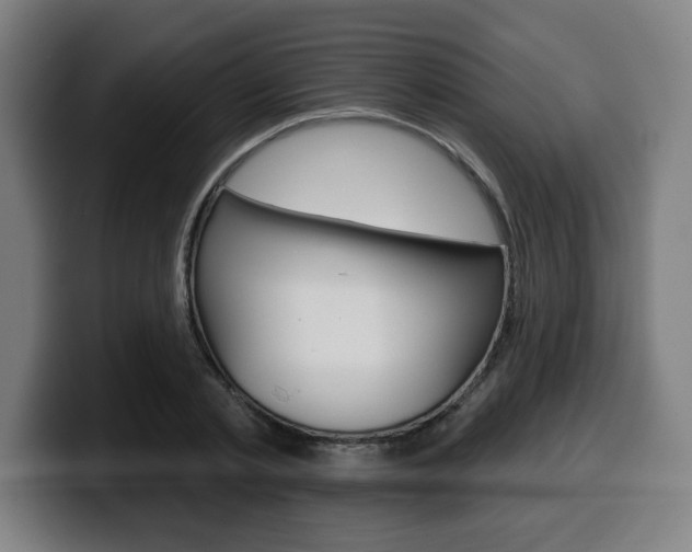 X0000099500789200805150948