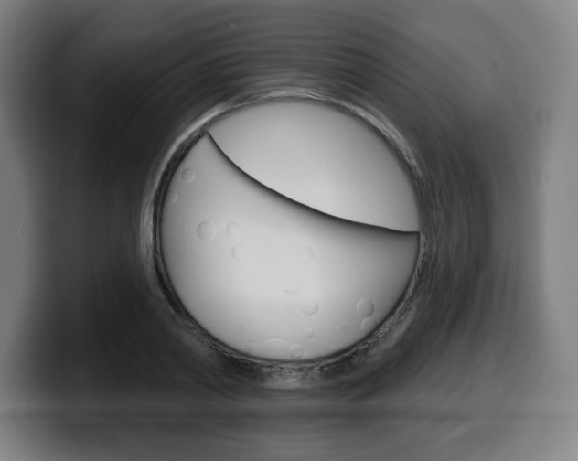 X0000099500790200805150948