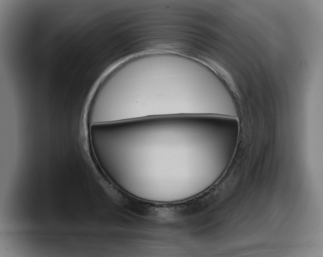 X0000099500792200805150948