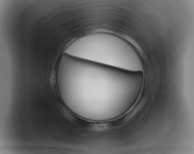 X0000099500793200805150948
