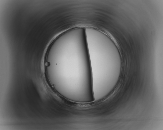 X0000099500795200805150948