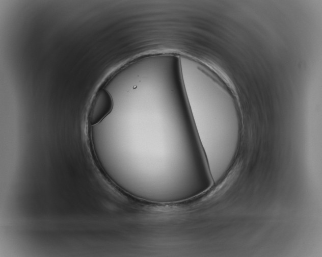 X0000099500797200805150948