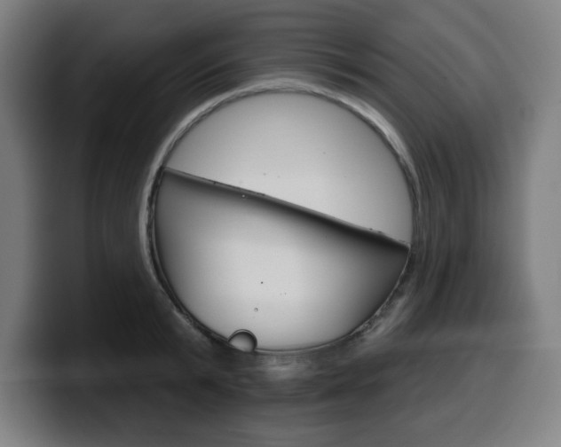 X0000099500799200805150948