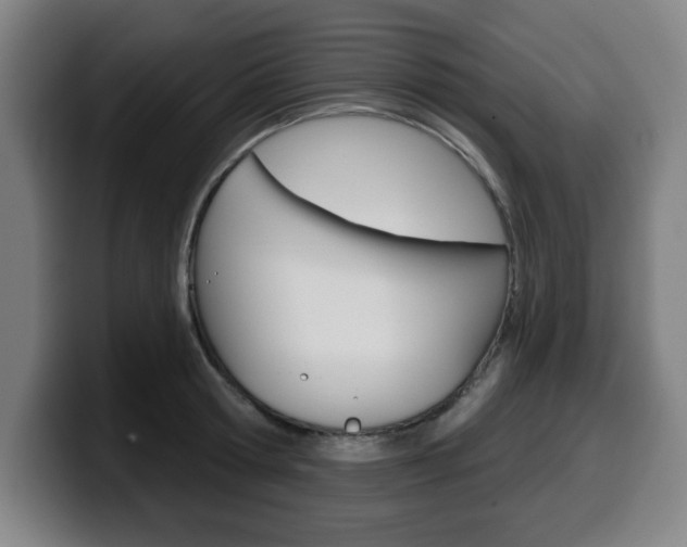 X0000099500802200805150948