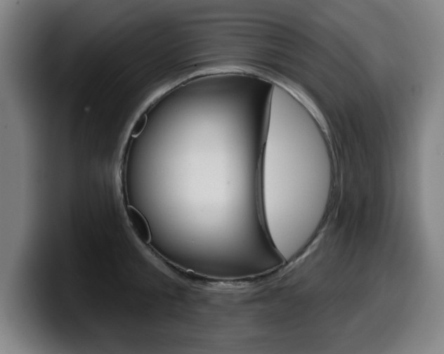 X0000099500805200805150948