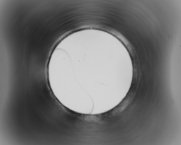 X0000099500807200805150948