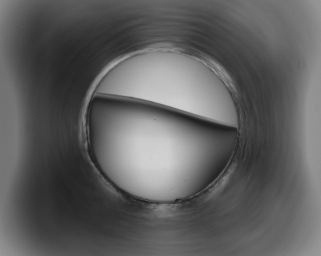 X0000099500808200805150948