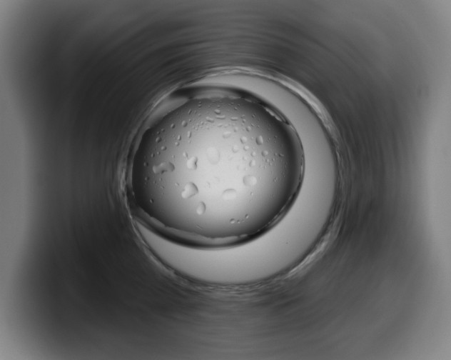 X0000099500809200805150948