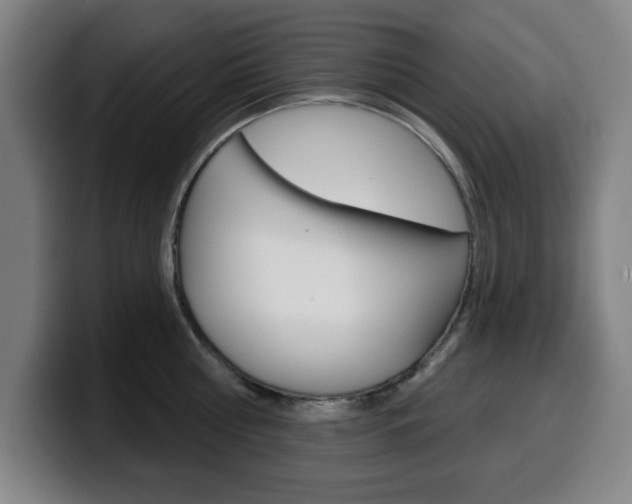 X0000099500810200805150948