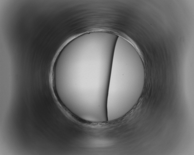 X0000099500811200805150948