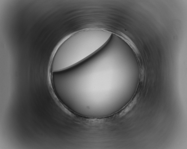 X0000099500812200805150948