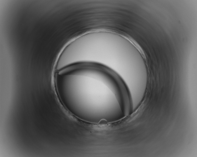 X0000099500813200805150948