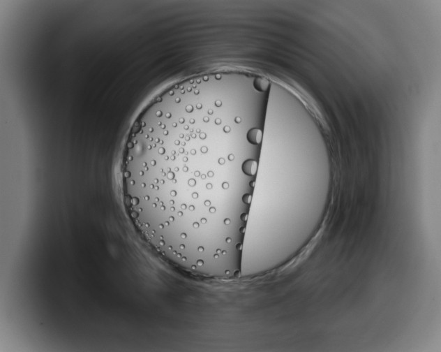 X0000099500814200805150948