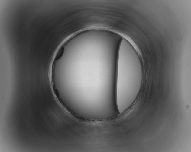 X0000099500815200805150948
