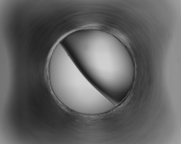 X0000099500816200805150948