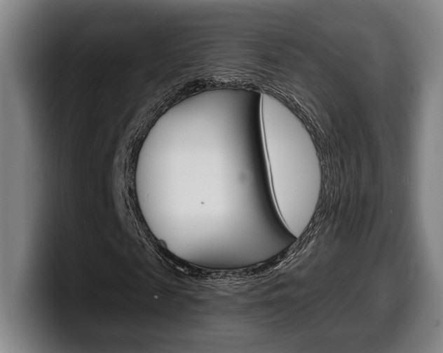 X0000099500817200805150947