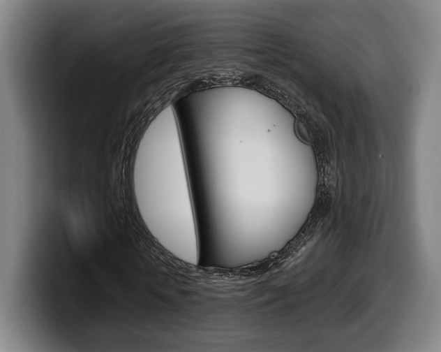 X0000099500818200805150947