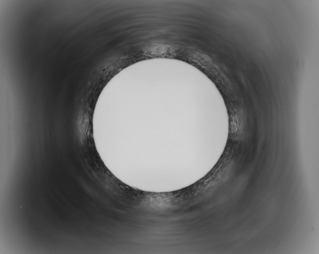 X0000099500820200805150947