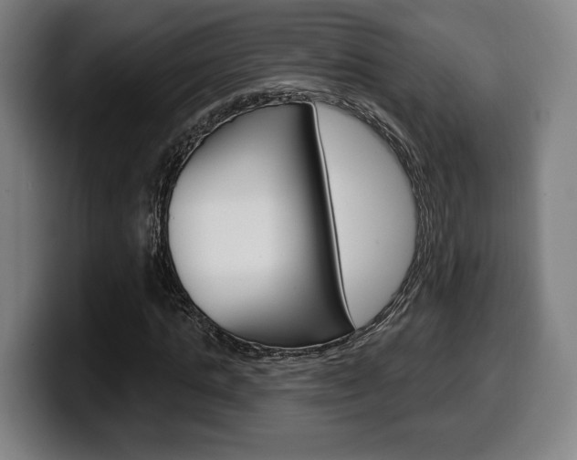 X0000099500821200805150947