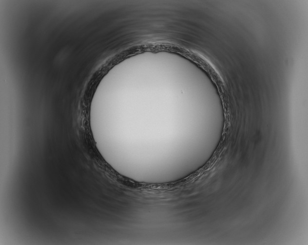 X0000099500823200805150947
