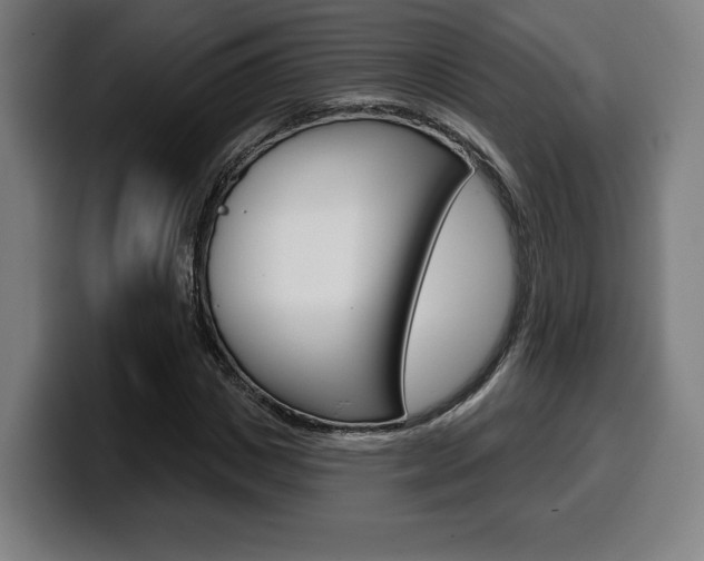 X0000099500825200805150947