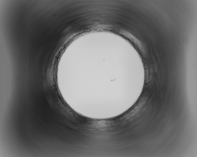 X0000099500828200805150947