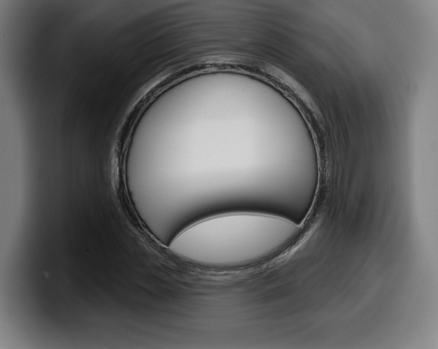 X0000099500829200805150948