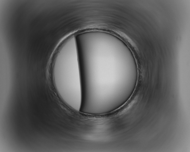 X0000099500830200805150948