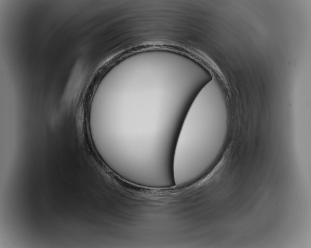X0000099500831200805150948