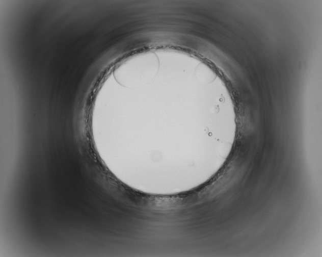 X0000099500832200805150948