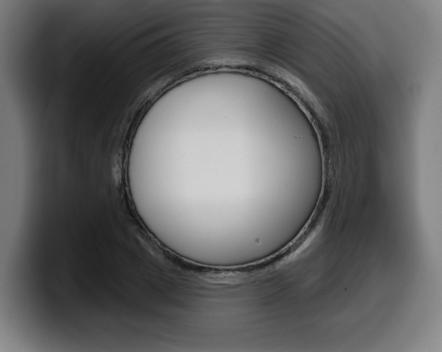 X0000099500833200805150948