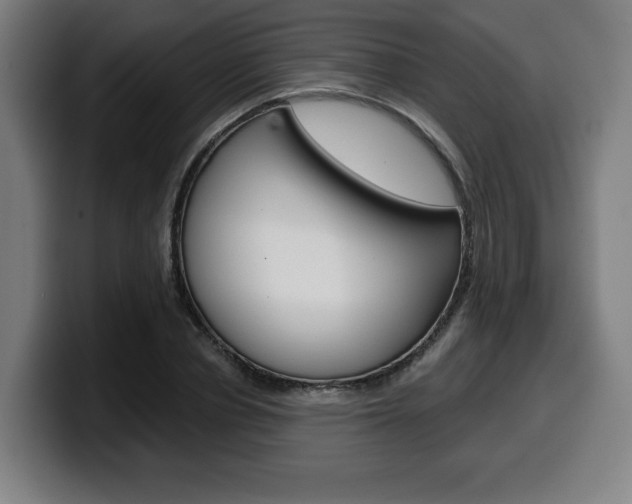 X0000099500834200805150948