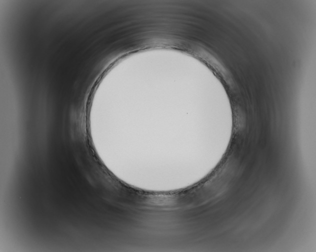 X0000099500836200805150948