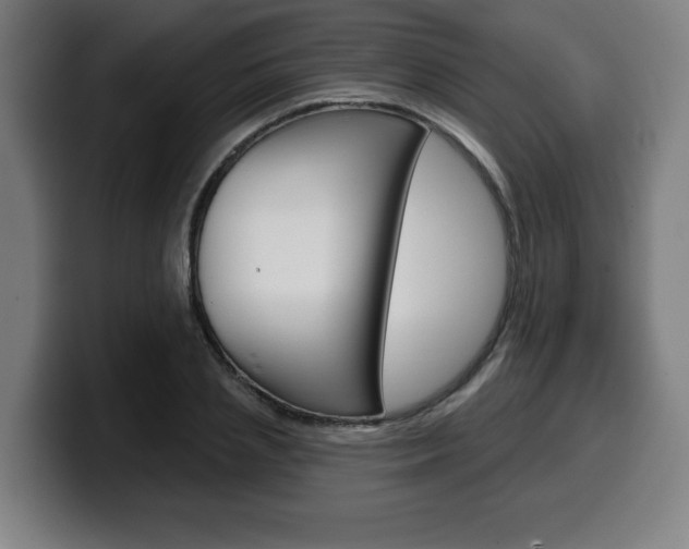 X0000099500837200805150948