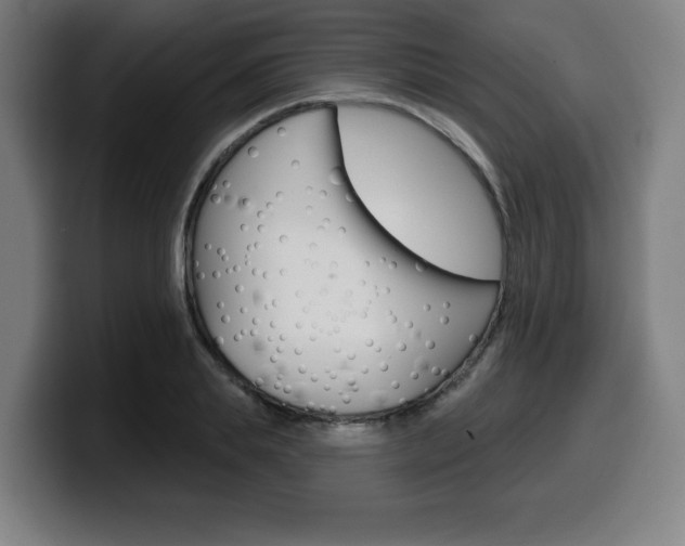 X0000099500839200805150948