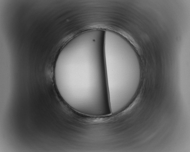 X0000099500841200805150948