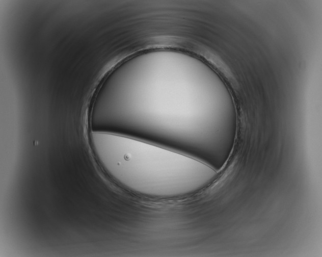 X0000099500842200805150948