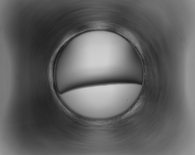 X0000099500843200805150948