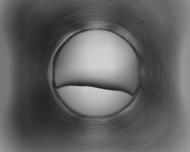 X0000099500844200805150948