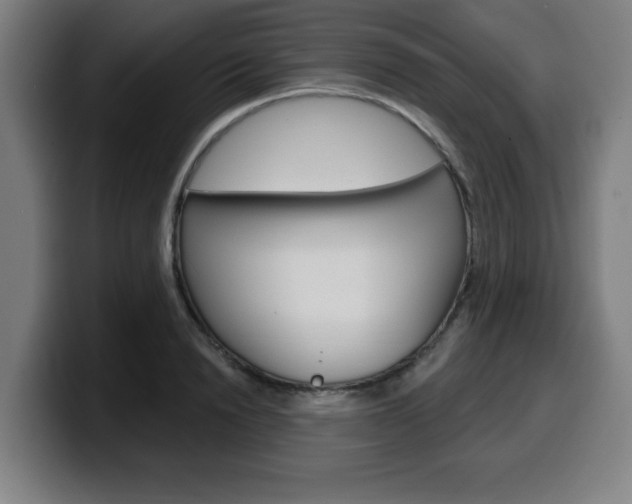 X0000099500846200805150948