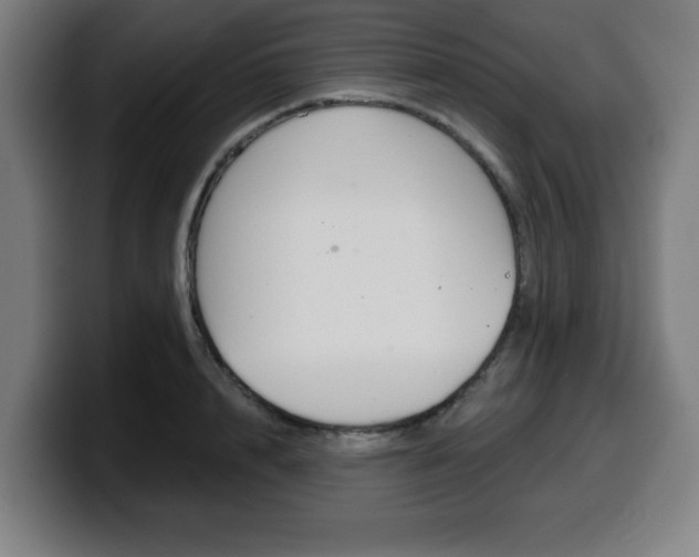 X0000099500848200805150948