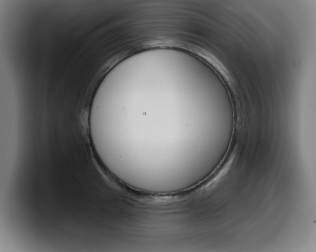 X0000099500849200805150948