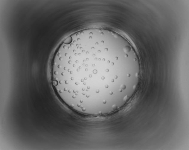 X0000099500851200805150948