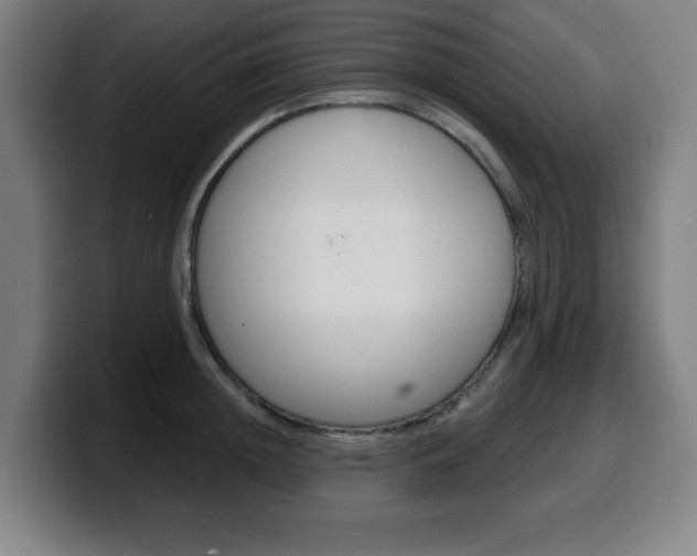 X0000099500852200805150948