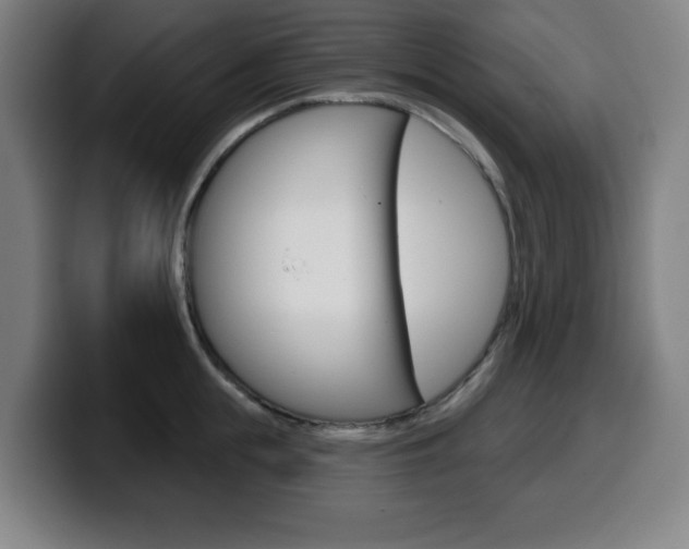 X0000099500855200805150948